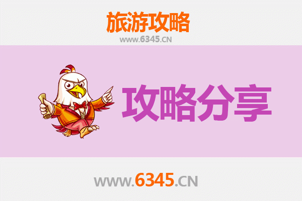 温州瓯海出发湄洲岛旅游攻略：跟团 vs 自由行深度解析